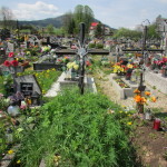 Cmentarz Parafialny na Kaletowie - Część F 4