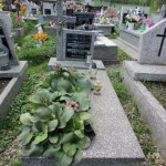Cmentarz Parafialny na Kaletowie - Część C 3