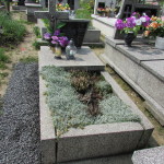 Cmentarz Parafialny na Pańskim - Część A 3
