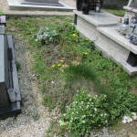 Cmentarz Parafialny na Pańskim - Część A 3