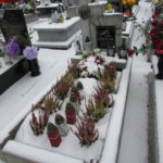 Cmentarz Parafialny na Kaletowie - Część C 6